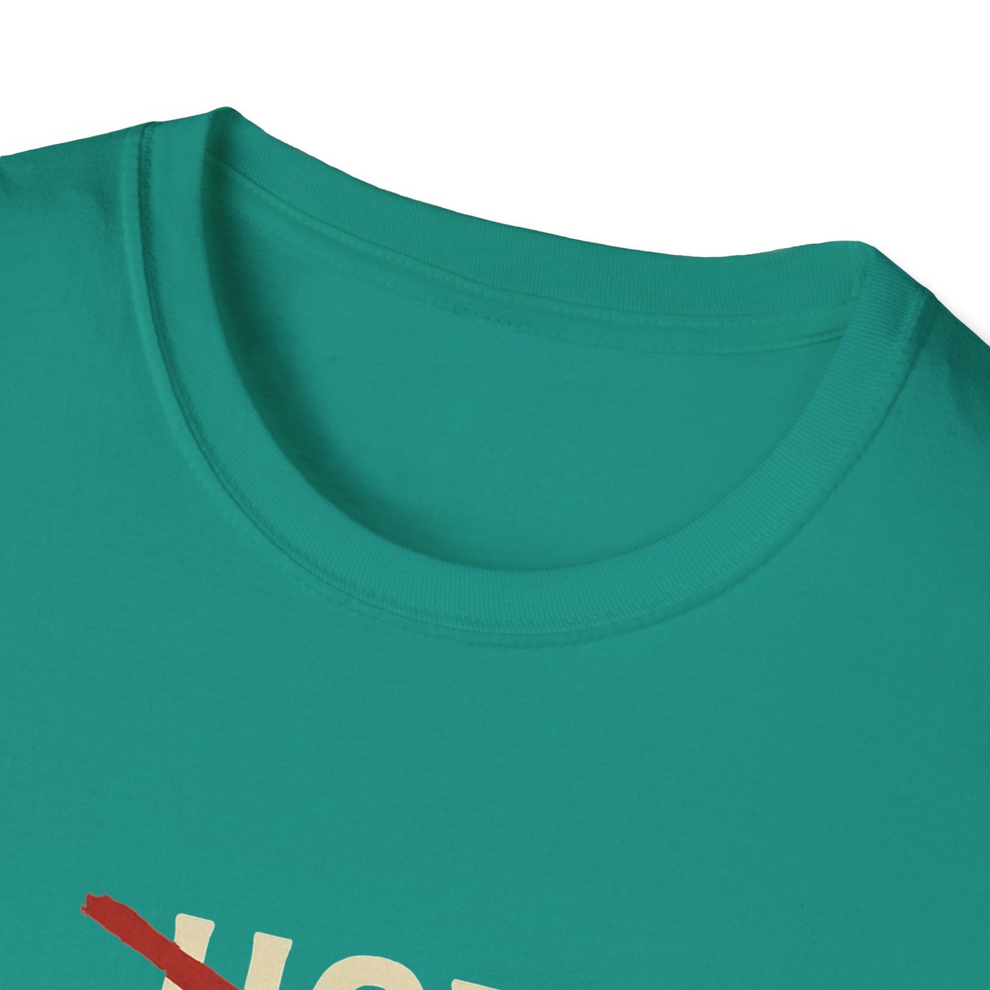Vintage Hot Dad Bod Softstyle T-Shirt