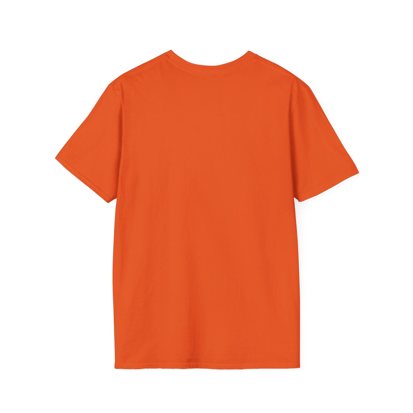 Vintage Hot Dad Bod Softstyle T-Shirt