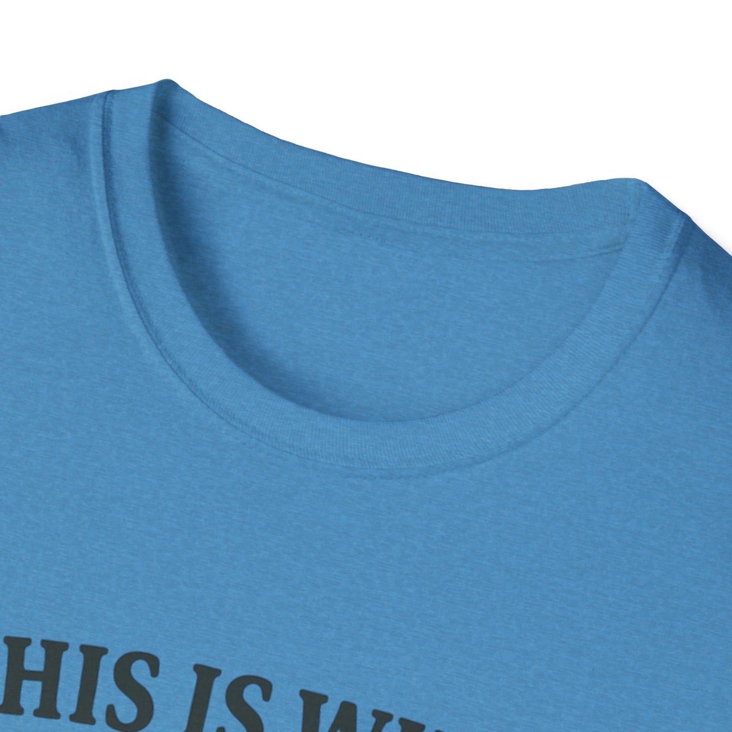 Vintage Dad Bod Softstyle T-Shirt