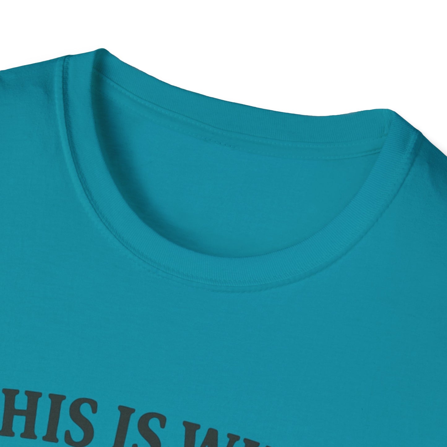 Vintage Dad Bod Softstyle T-Shirt