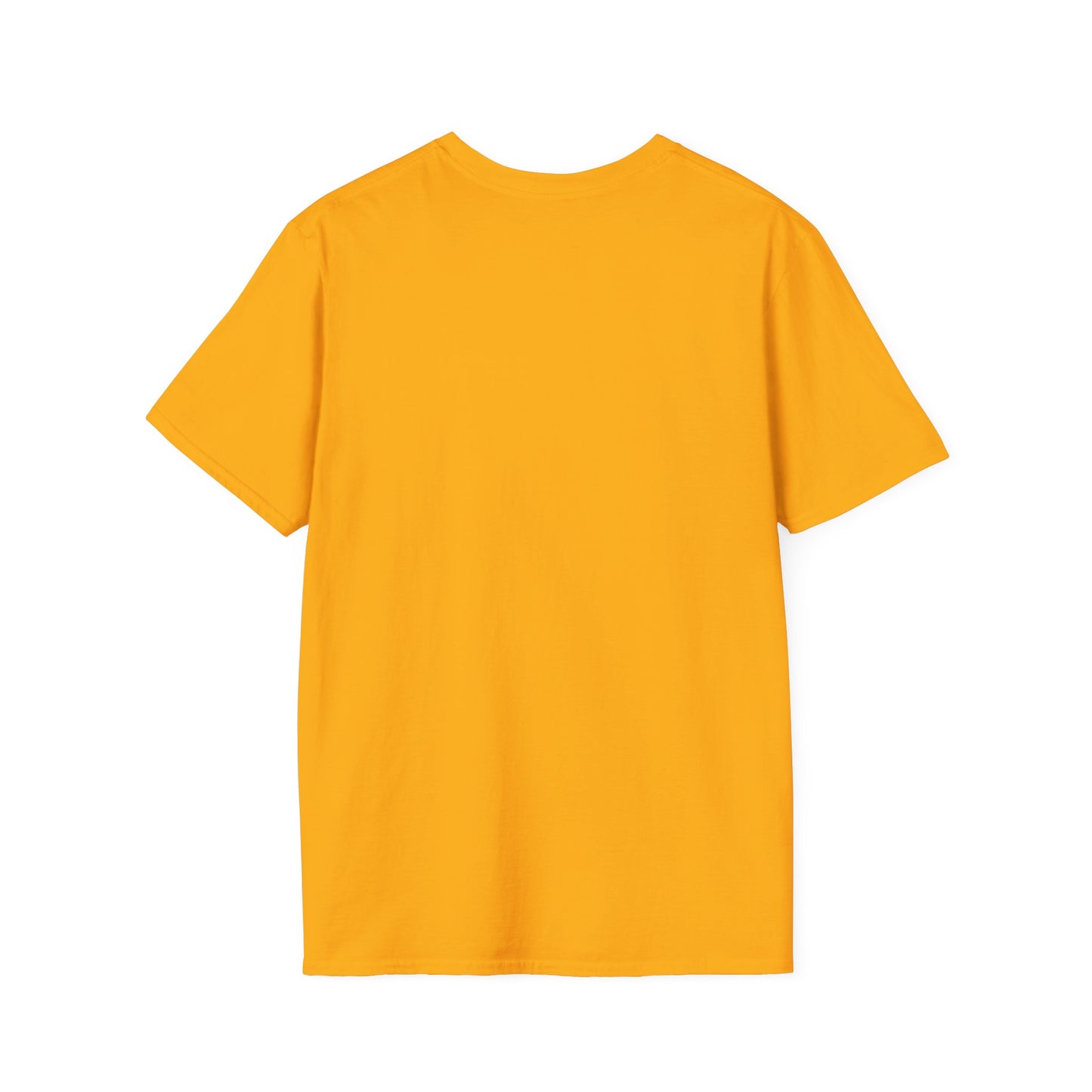 Vintage Hot Dad Bod Softstyle T-Shirt