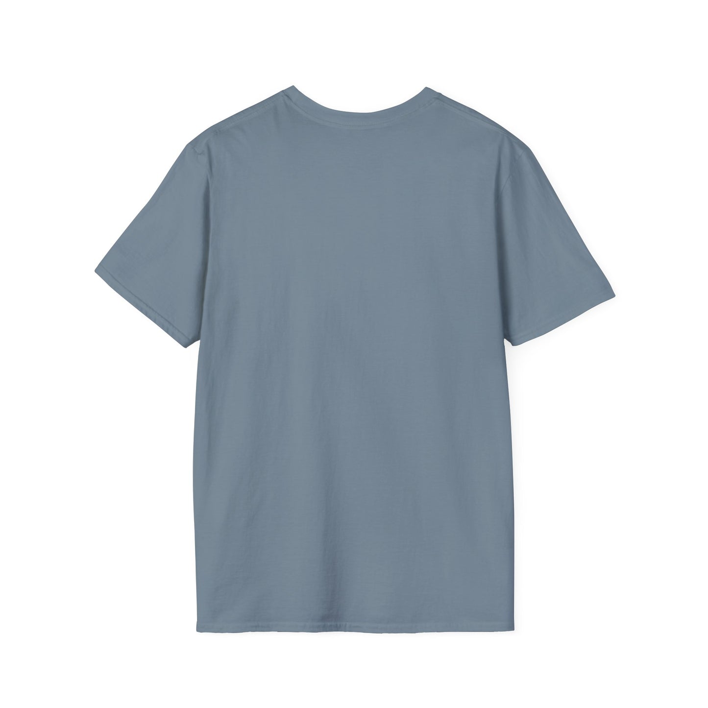 Vintage Hot Dad Bod Softstyle T-Shirt
