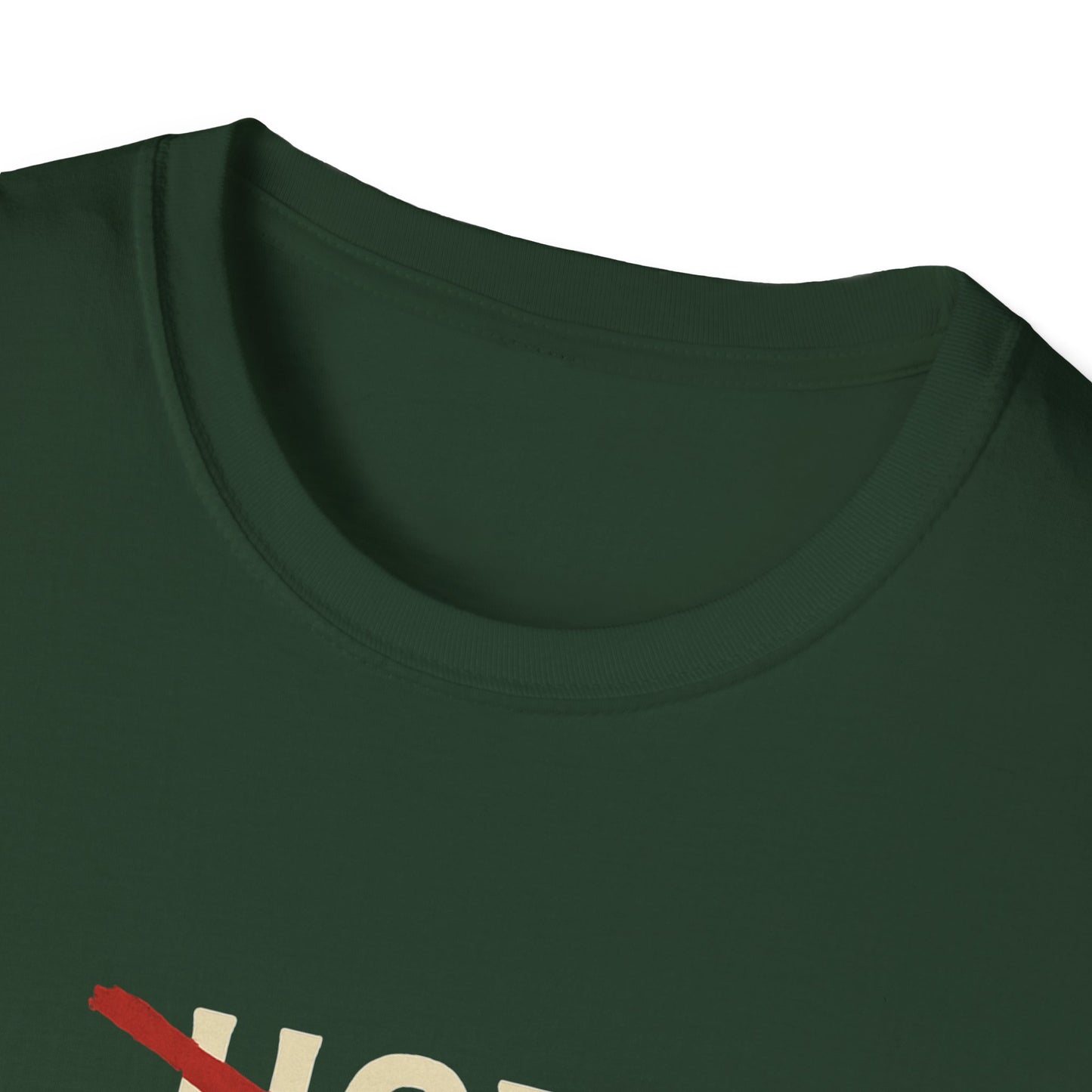 Vintage Hot Dad Bod Softstyle T-Shirt
