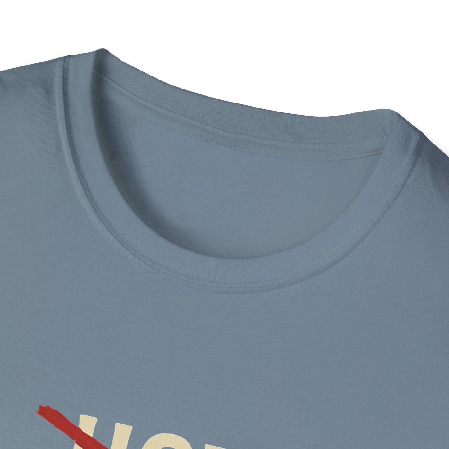 Vintage Hot Dad Bod Softstyle T-Shirt