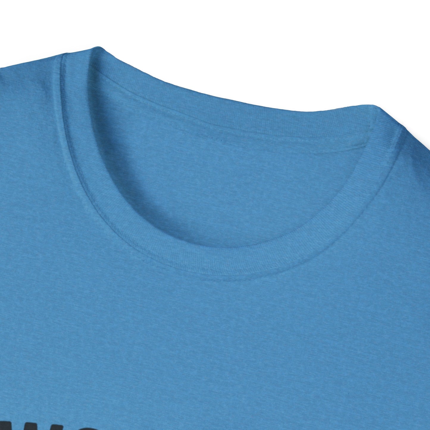 Vintage World's Greatest Dad Est 1995 Softstyle T-Shirt