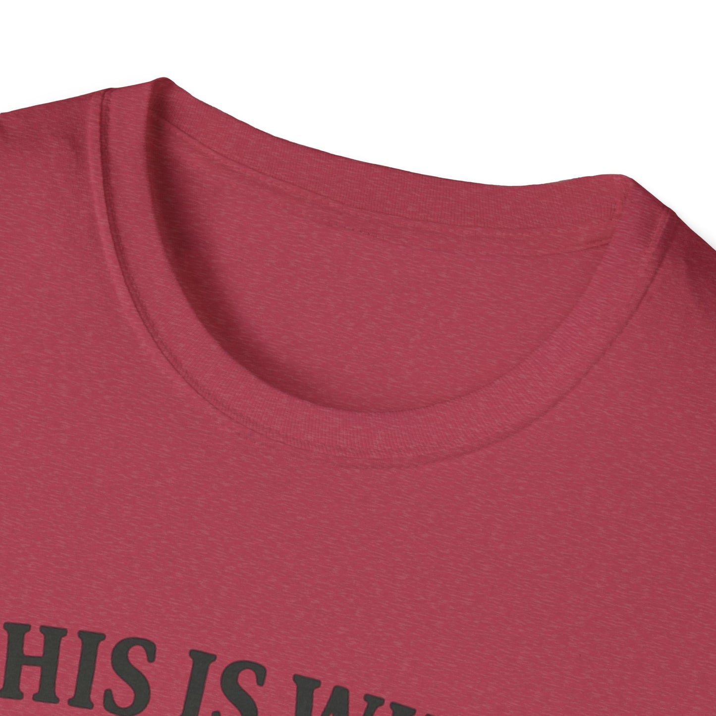 Vintage Dad Bod Softstyle T-Shirt