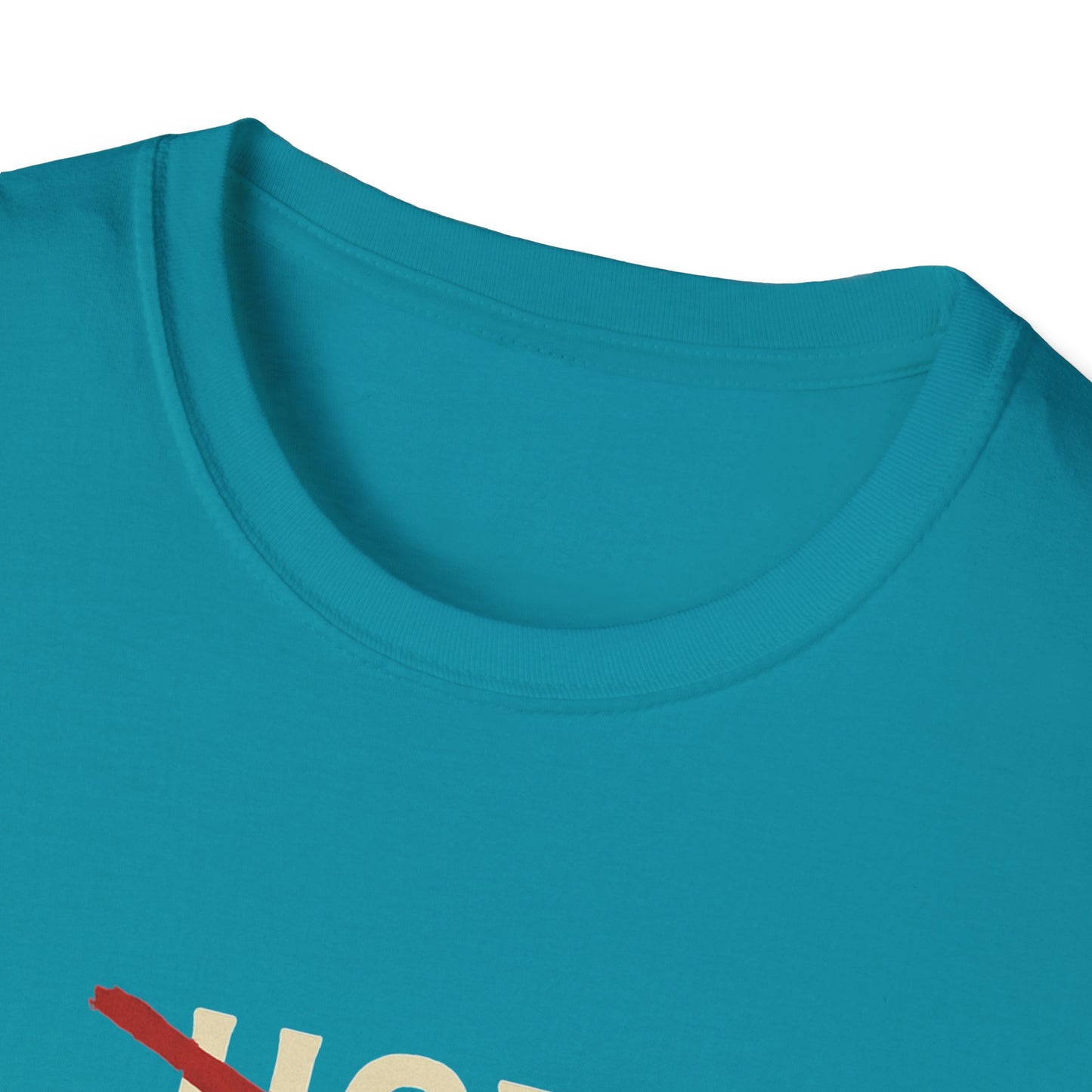 Vintage Hot Dad Bod Softstyle T-Shirt