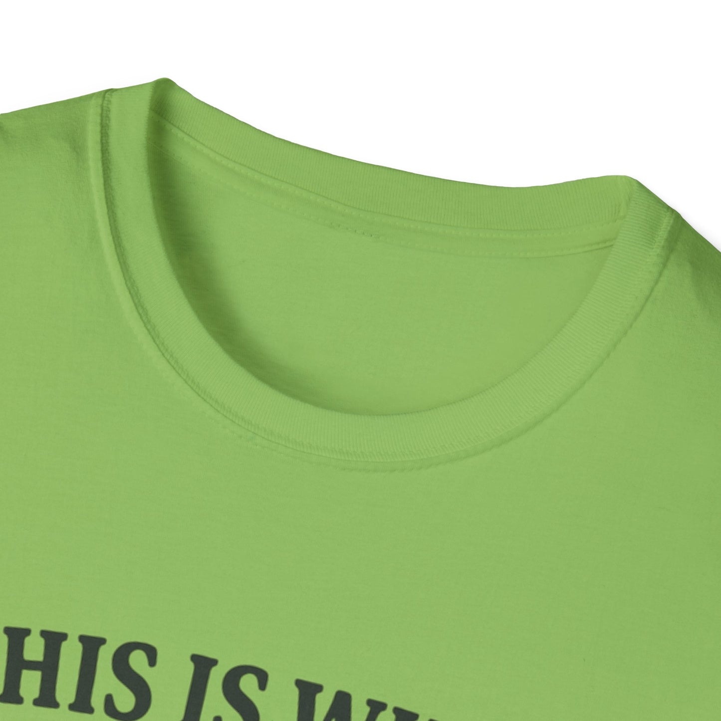 Vintage Dad Bod Softstyle T-Shirt