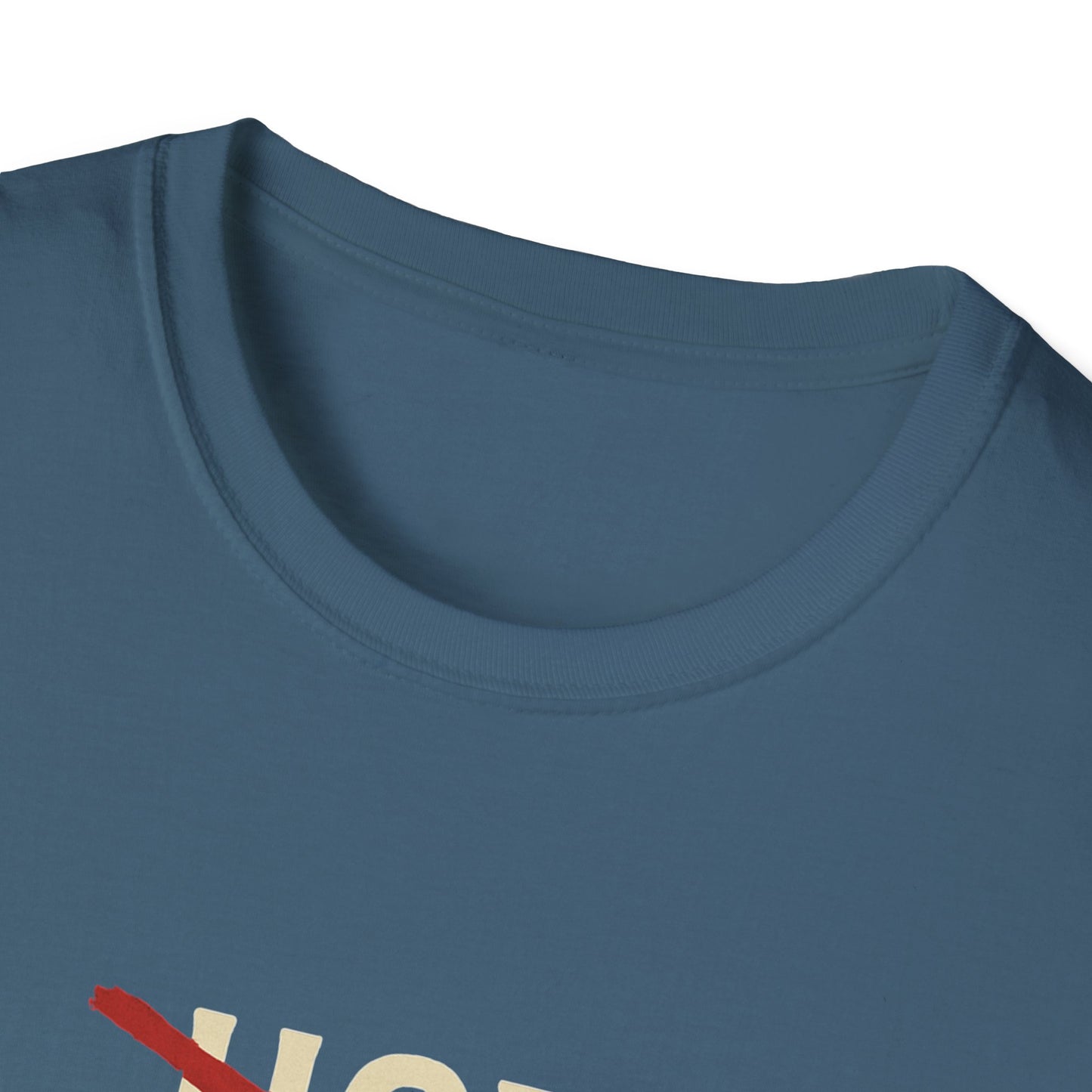Vintage Hot Dad Bod Softstyle T-Shirt