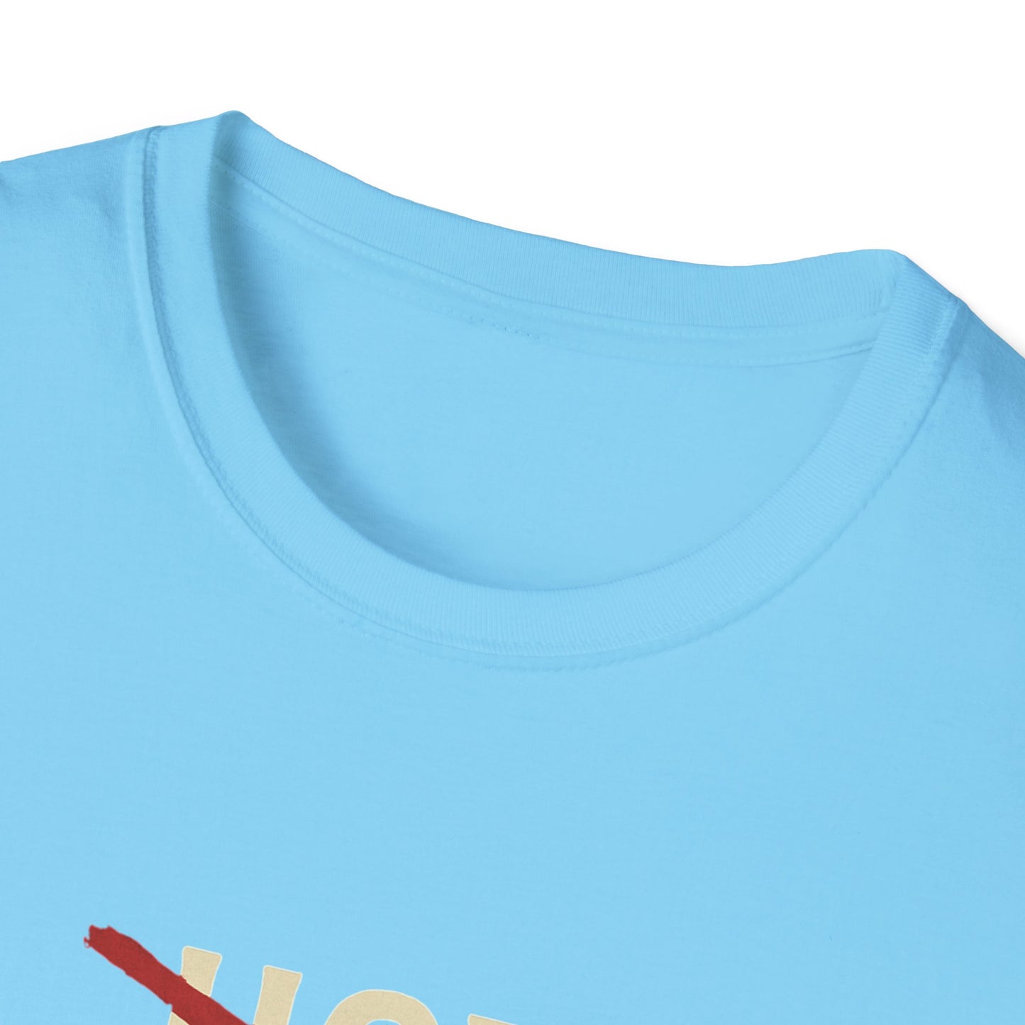 Vintage Hot Dad Bod Softstyle T-Shirt