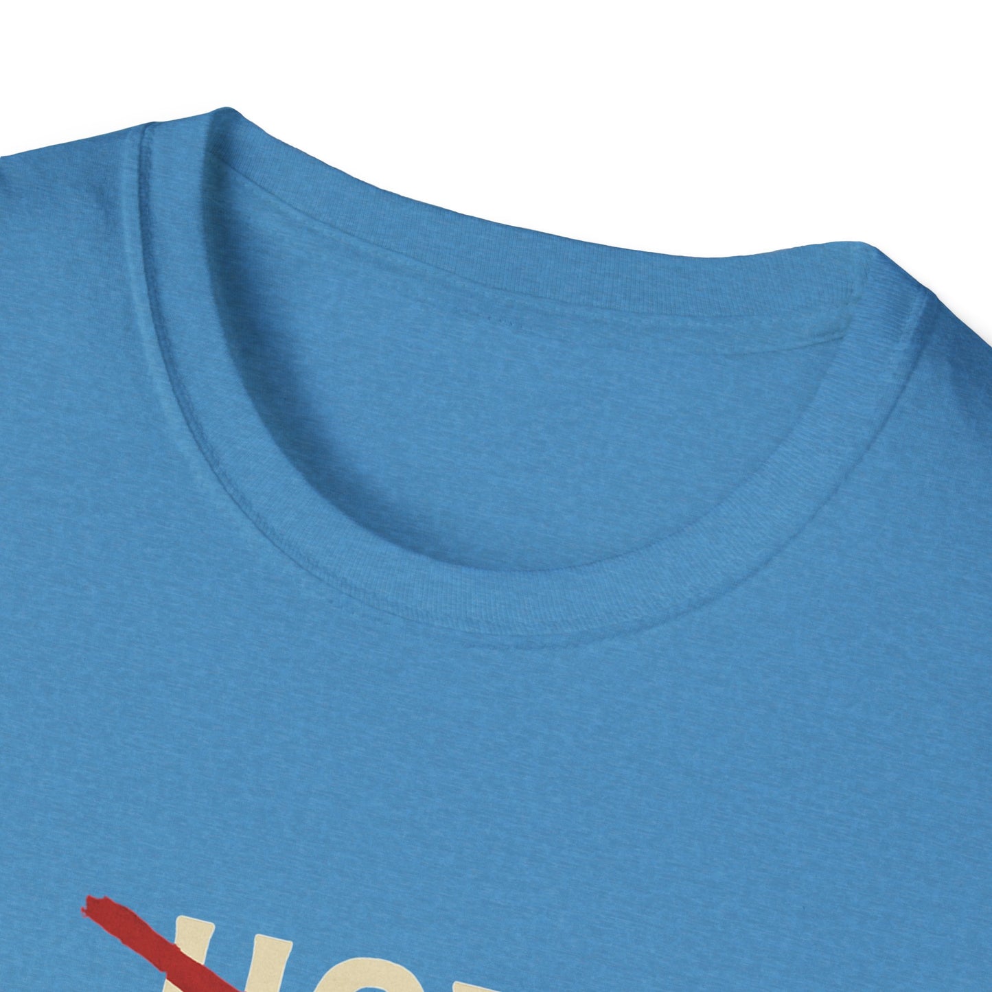 Vintage Hot Dad Bod Softstyle T-Shirt