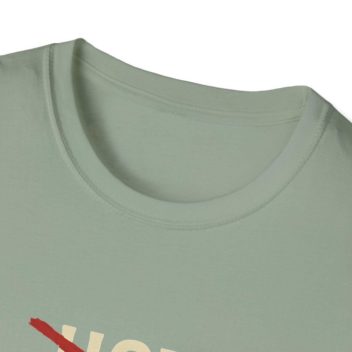 Vintage Hot Dad Bod Softstyle T-Shirt