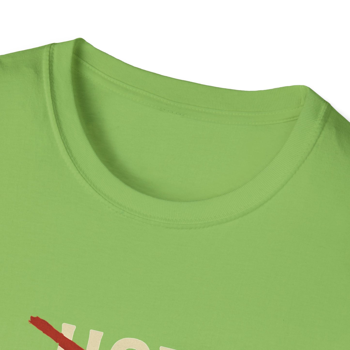 Vintage Hot Dad Bod Softstyle T-Shirt