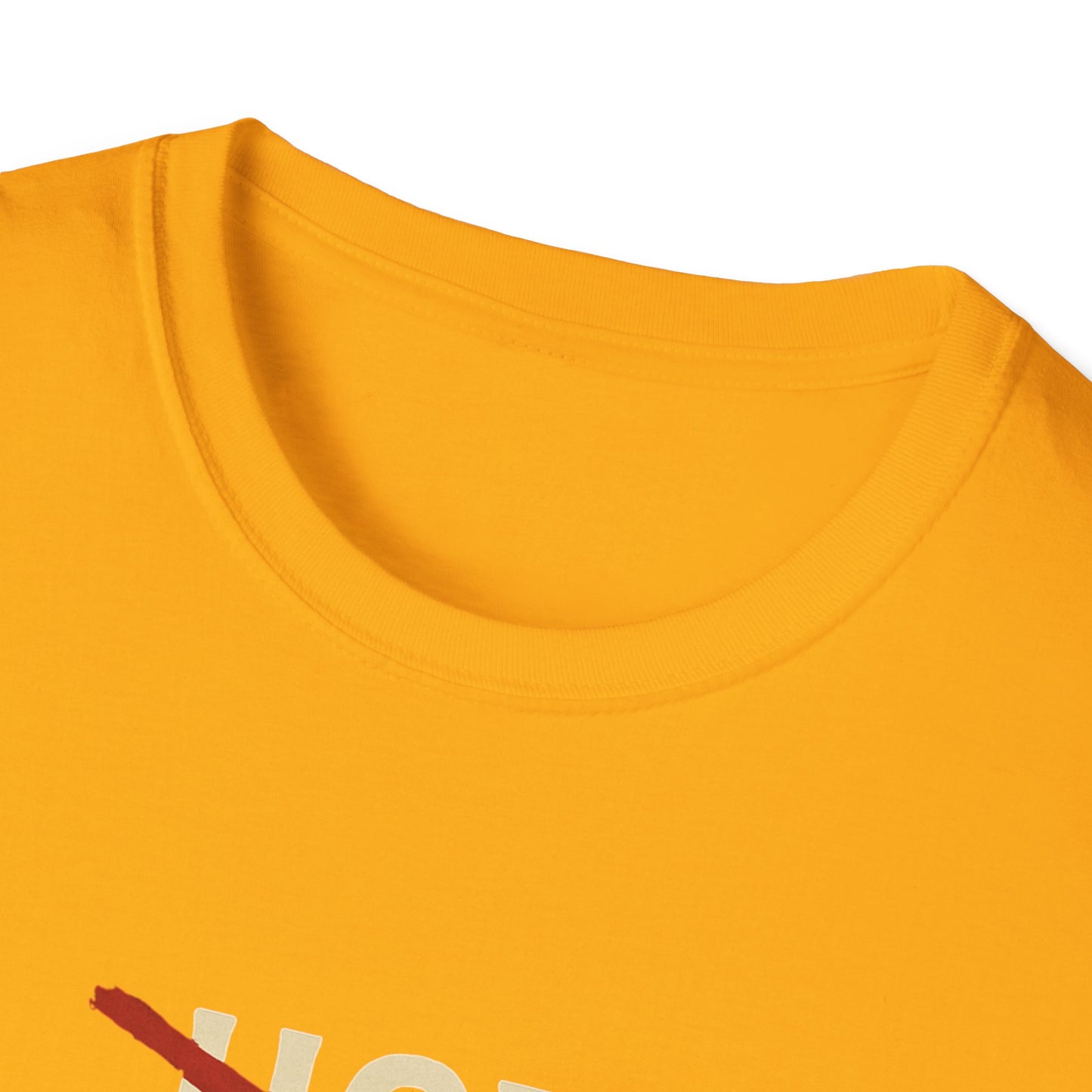 Vintage Hot Dad Bod Softstyle T-Shirt