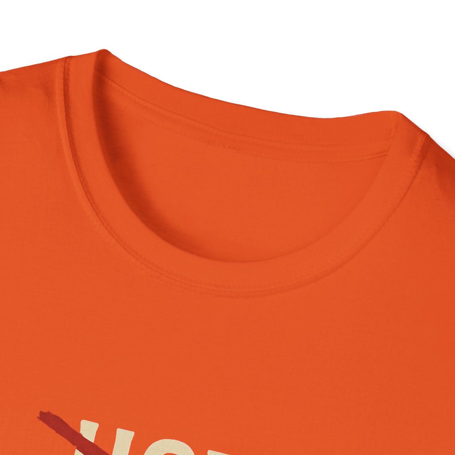 Vintage Hot Dad Bod Softstyle T-Shirt