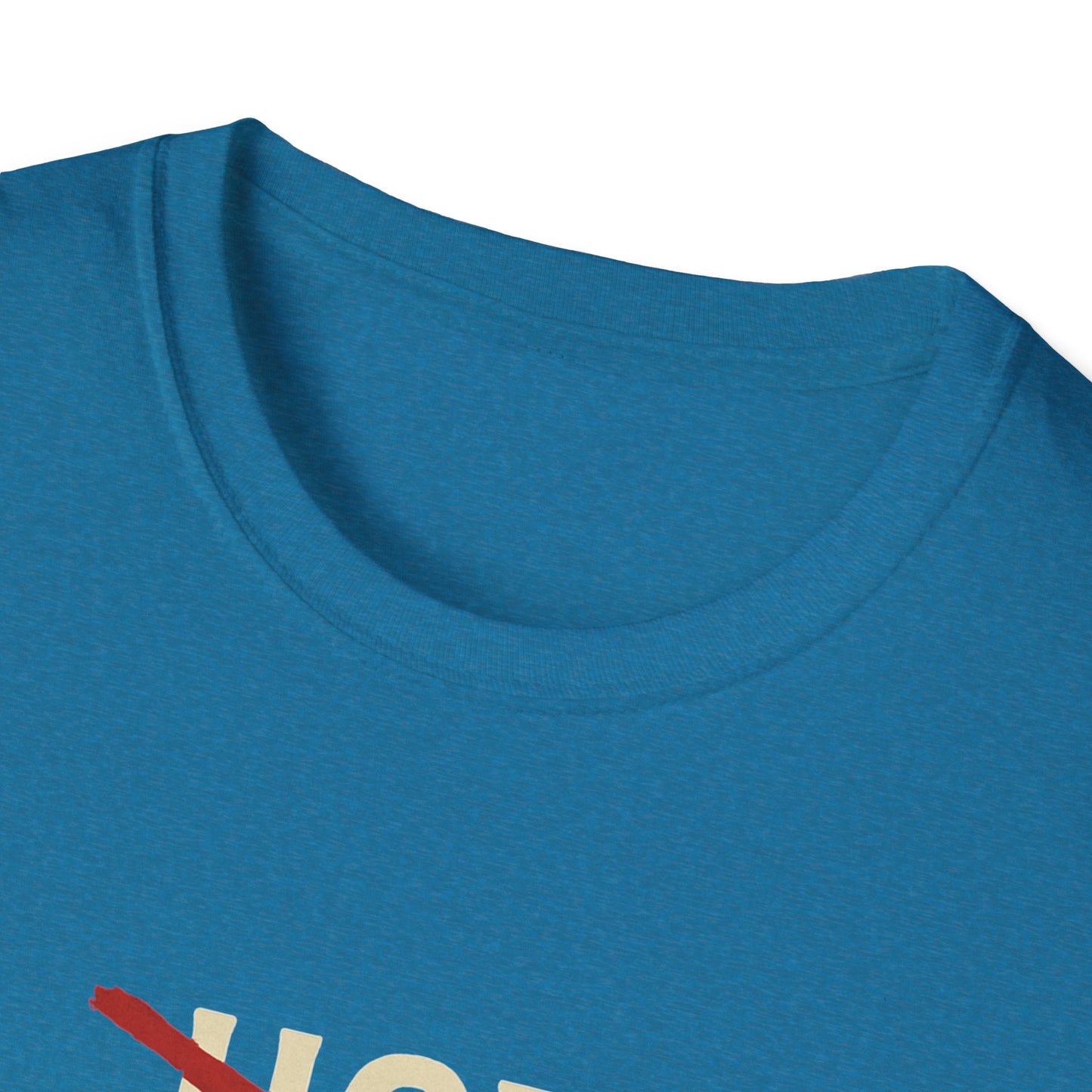 Vintage Hot Dad Bod Softstyle T-Shirt