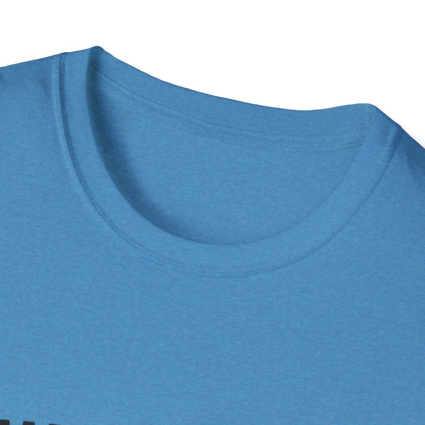 Vintage World's Greatest Dad Est 1955 Softstyle T-Shirt