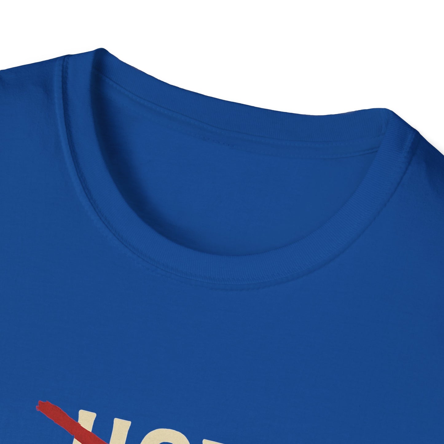 Vintage Hot Dad Bod Softstyle T-Shirt