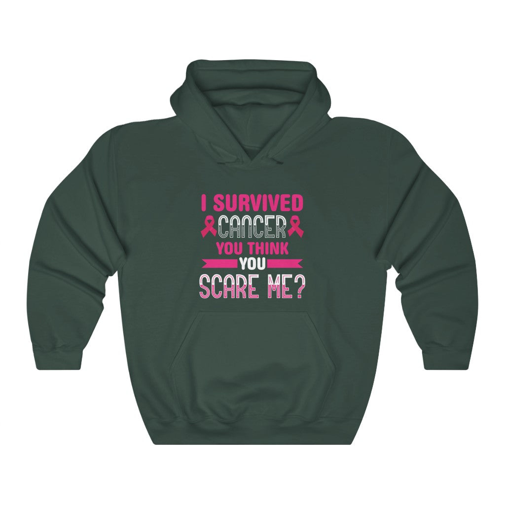 "I Survived Cancer. You Think You Scare Me" Heavy Blend™ Hoodie Sweatshirt