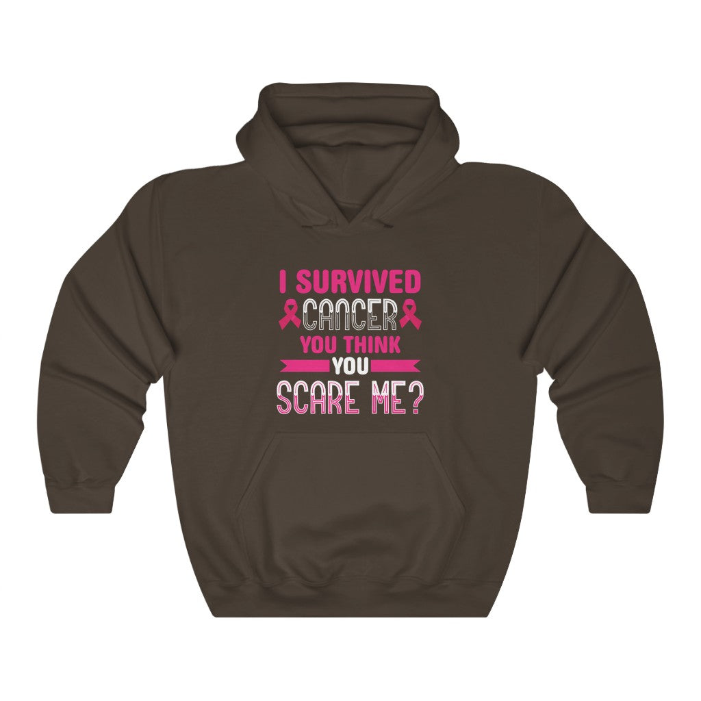 "I Survived Cancer. You Think You Scare Me" Heavy Blend™ Hoodie Sweatshirt